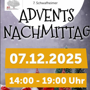 Beleuchtete Weihnachtskutsche