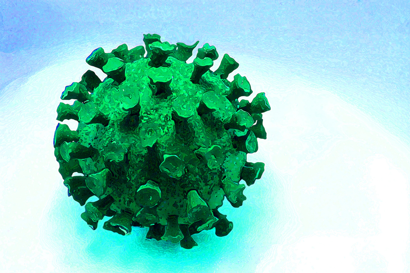 In den Jahren 2020 und 2021 fanden wegen der Einschränkungen durch die COVID-19-Pandemie keine Veranstaltungen statt.