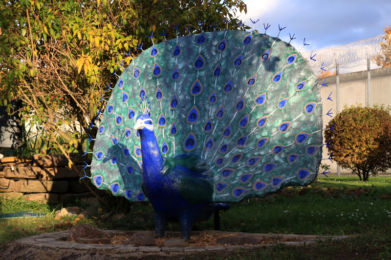 Fotografie der Skulptur des Pfau im Garten der Hofkolonne bei Nachmittäglichen Sonnenlicht.