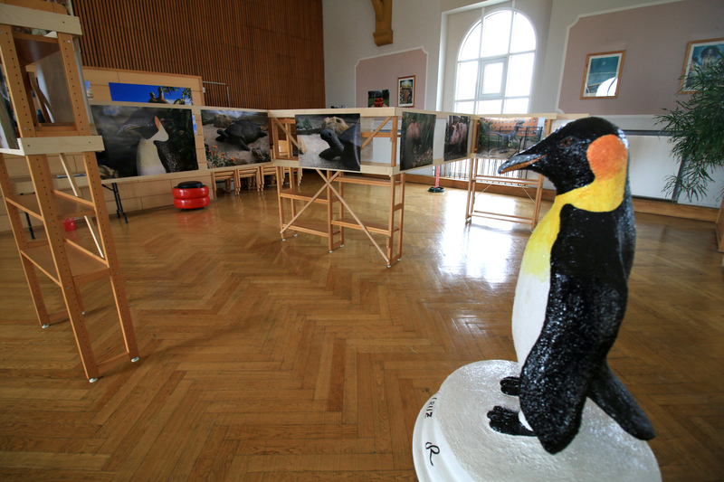 Die Skulptur eines Pinguins und die Fotografie der Pinguin Skulptur im Skulpturenpark der JVA, wurden in der Ausstellung bewusst in Verbindung zueinander gesetzt für den Betrachter.