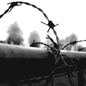 Logo Drinnenaussen Stacheldraht