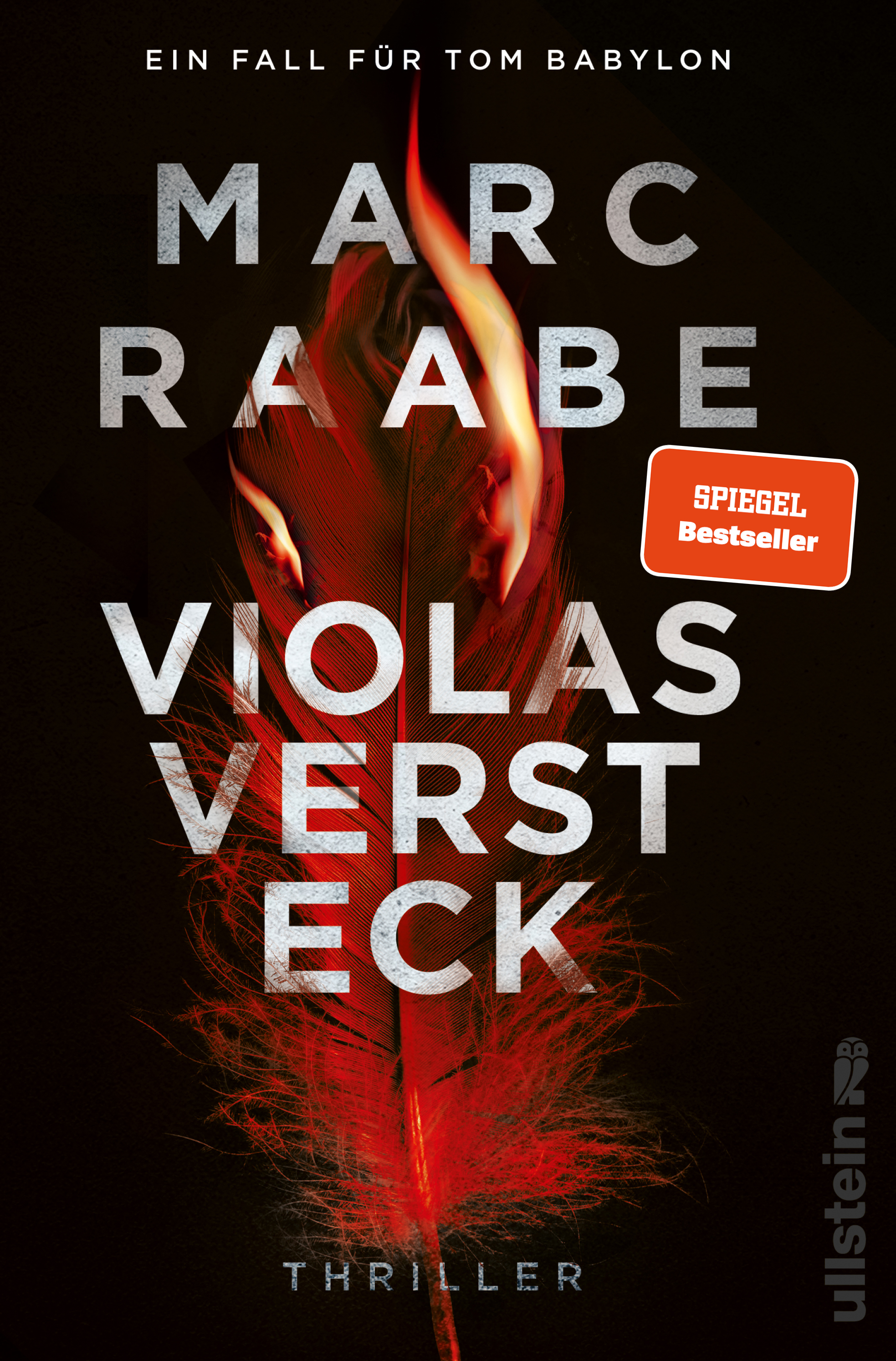 Cover des Buches "Violas Versteck" von Marc Raabe