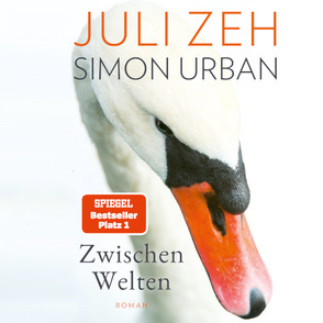 Schwan auf einem See