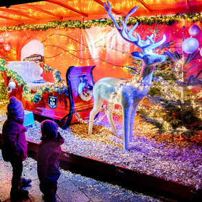 Advents- und Weihnachstsmarkt Werl Stimmungsbild mit beleuchteten Rentierschlitten