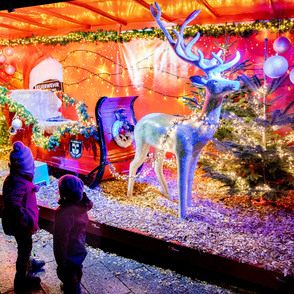 Advents- und Weihnachstsmarkt Werl Stimmungsbild mit beleuchteten Rentierschlitten