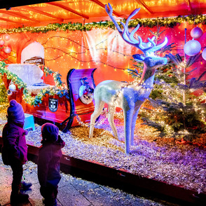 Advents- und Weihnachstsmarkt Werl Stimmungsbild mit beleuchteten Rentierschlitten